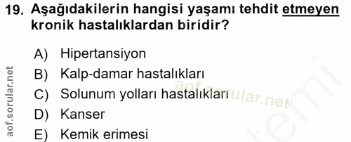 Soru 19