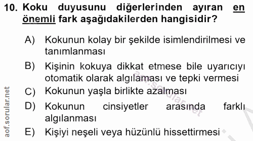 Soru 10