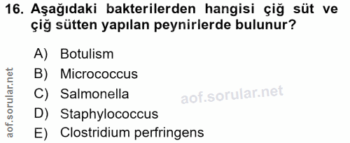Soru 16