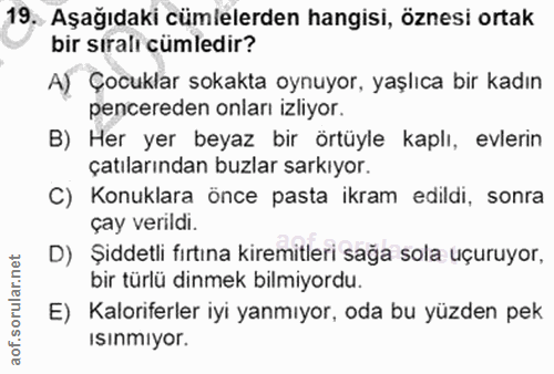 Soru 19