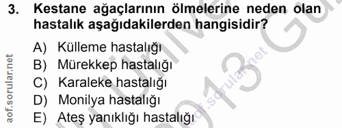 Soru 3