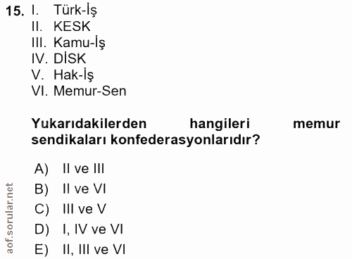 Soru 15