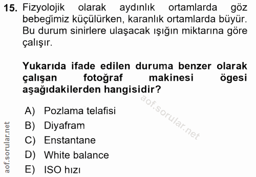 Soru 15