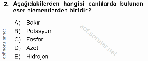 Soru 2
