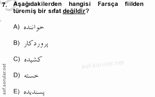 Soru 7