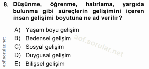 Soru 8
