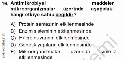 Soru 16