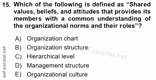 Soru 15