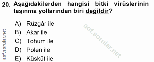 Soru 20