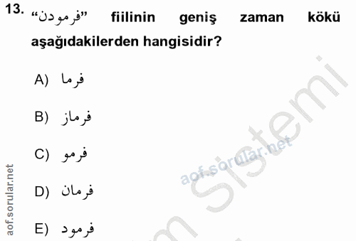 Soru 13