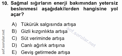 Soru 10