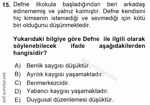 Soru 15