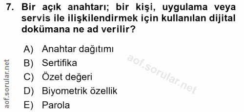 Soru 7
