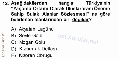 Soru 12