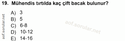 Soru 19