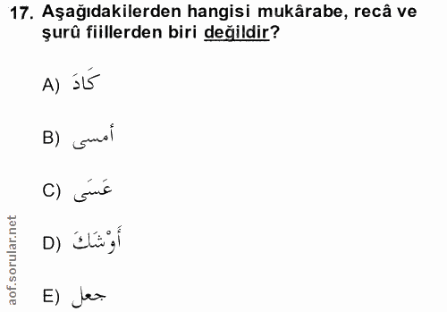 Soru 17
