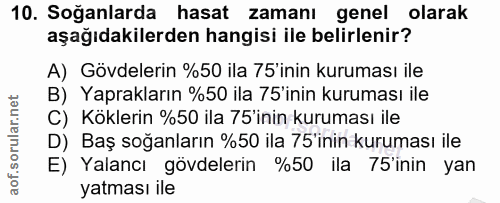 Soru 10
