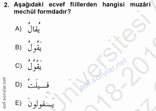 Soru 2