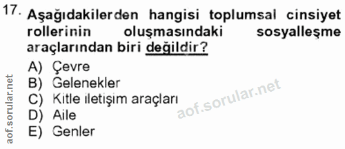 Soru 17