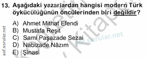 Soru 13