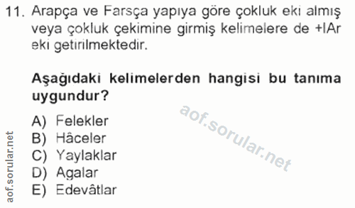 Soru 11