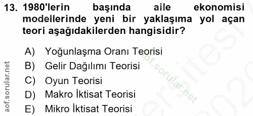 Soru 13