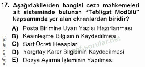 Soru 17