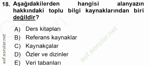 Soru 18