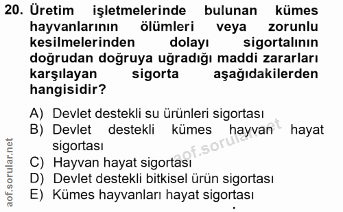 Soru 20