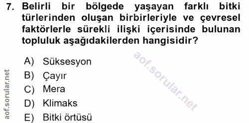Soru 7