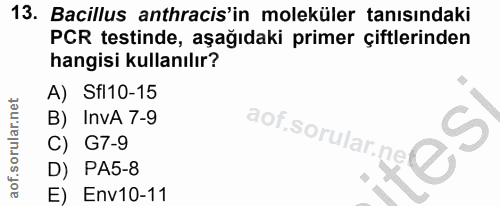 Soru 13