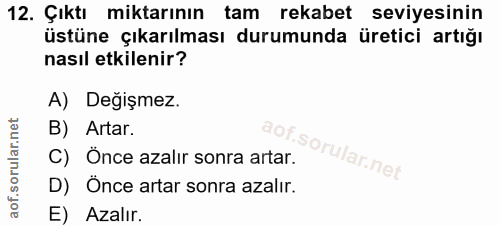 Soru 12