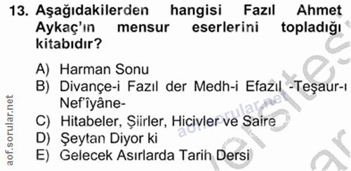 Soru 13