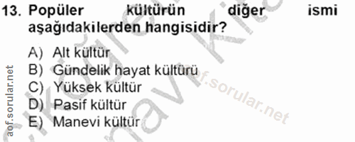 Soru 13