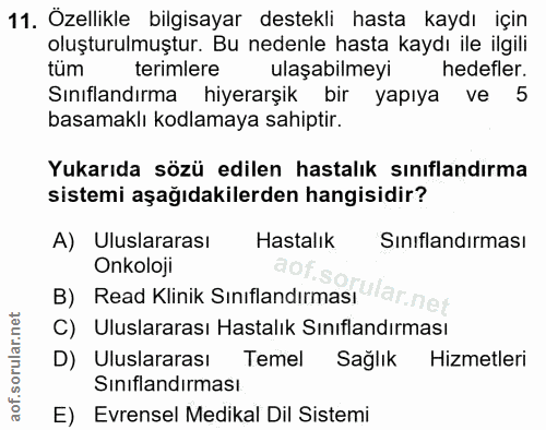 Soru 11
