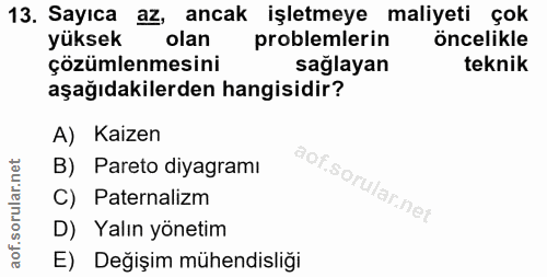 Soru 13