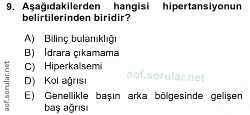 Soru 9