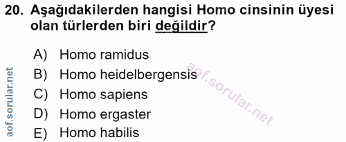 Soru 20