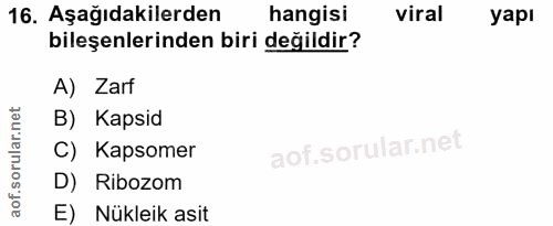 Soru 16