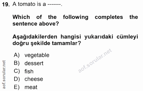 Soru 19