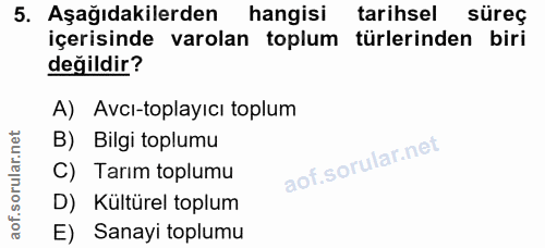 Soru 5