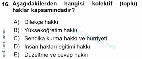 Soru 16