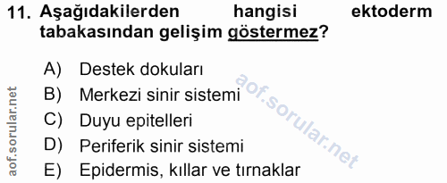 Soru 11