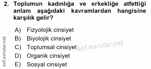 Soru 2