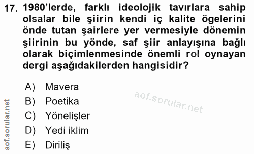 Soru 17