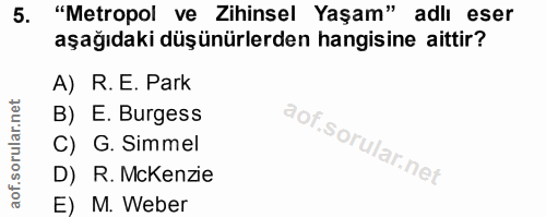 Soru 5