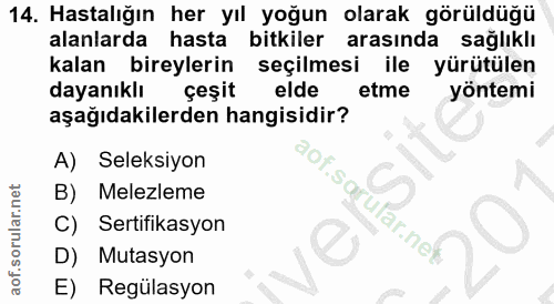 Soru 14