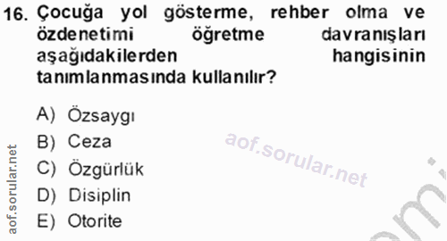 Soru 16