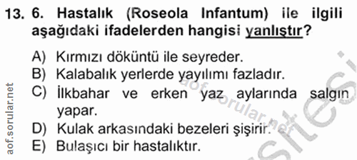 Soru 13