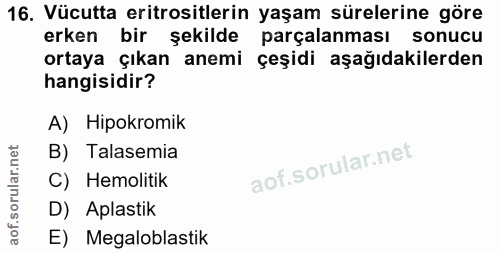 Soru 16